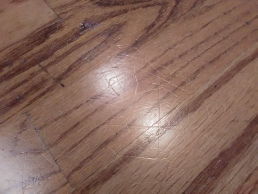 Hardwood Floor Cleaning Sandless, Sandless Hardwood Floor Refinishing